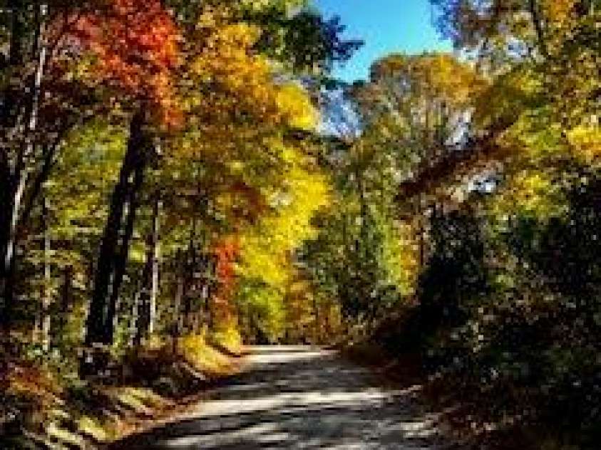 178 Whetstone Gap Road, Lake Toxaway, NC 28747.  MLS# CAR4229109, YatesRealty ID 12394. 