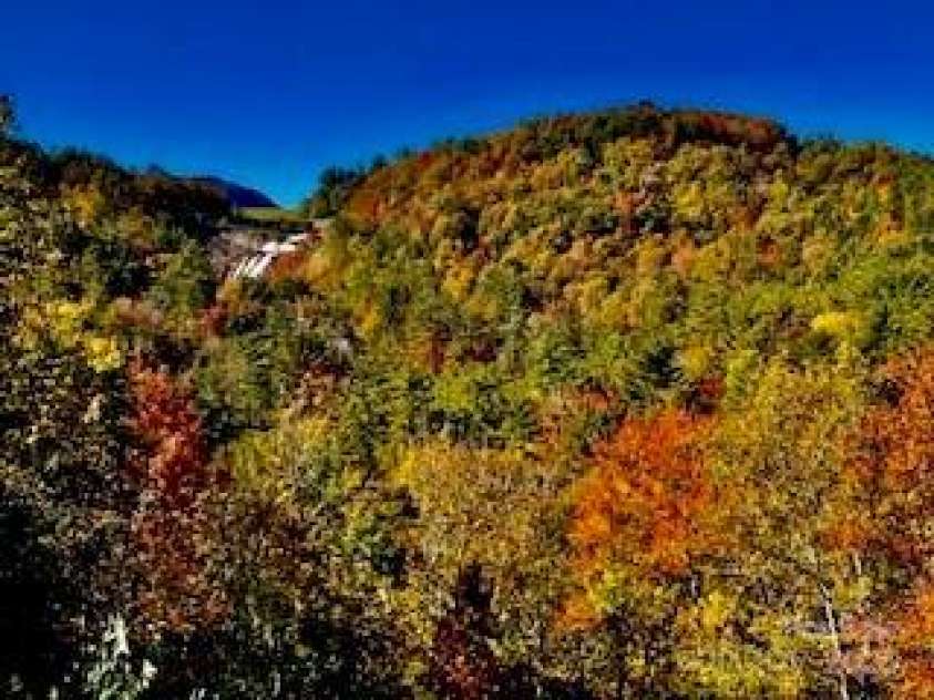 178 Whetstone Gap Road, Lake Toxaway, NC 28747.  MLS# CAR4229109, YatesRealty ID 12394. Fall in the mountains