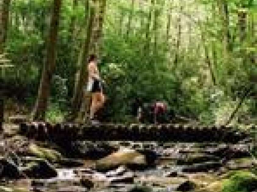 103 Southshore Drive, Tuckasegee, NC 28783.  MLS# CAR4227526, YatesRealty ID 1242. 