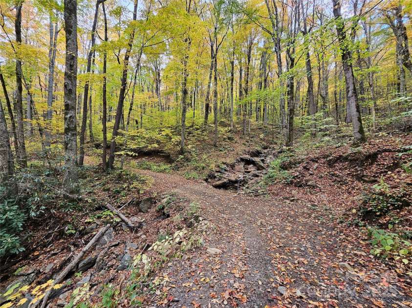 25 Hollow Log Road, Burnsville, NC 28714.  MLS# CAR4327813, YatesRealty ID 1243. 