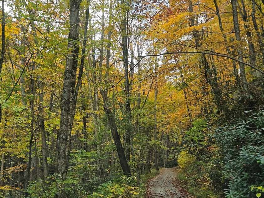 25 Hollow Log Road, Burnsville, NC 28714.  MLS# CAR4327813, YatesRealty ID 1243. 