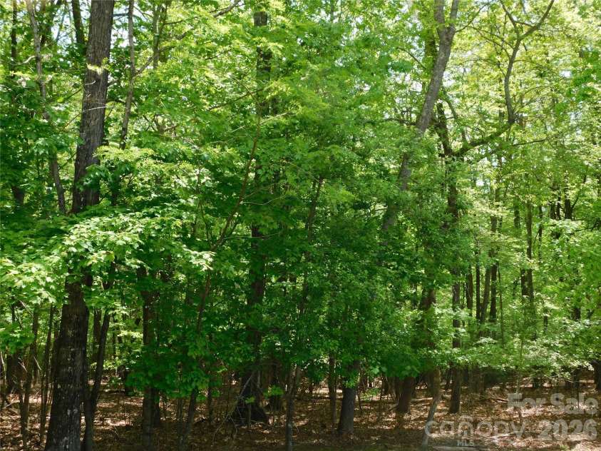 1064 Skye Drive, Pisgah Forest, NC 28768.  MLS# CAR4370821, YatesRealty ID 12470. Woods border back yard for comfort and quiet.