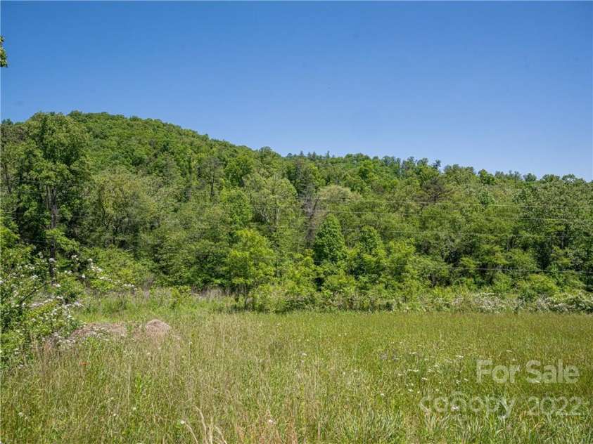 99999 Merrills Cove Road, Asheville, NC 28803.  MLS# CAR3918824, YatesRealty ID 1251. 