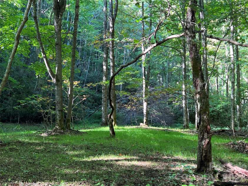 2778 Mule Stomp Road, Hot Springs, NC 28721.  MLS# CAR4337307, YatesRealty ID 12535. 