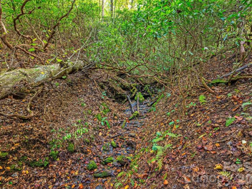 206 Willow Lane, Rosman, NC 28772.  MLS# CAR4290830, YatesRealty ID 12596. Creek on property