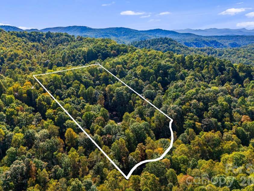 206 Willow Lane, Rosman, NC 28772.  MLS# CAR4290830, YatesRealty ID 12596. Overview - boundaries are approximate and not a survey