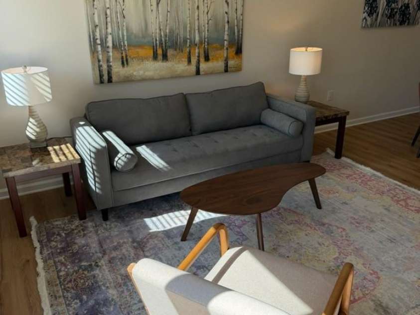 3 Lee Garden Lane, Asheville, NC 28801.  MLS# CAR4328368, YatesRealty ID 12637. Staging