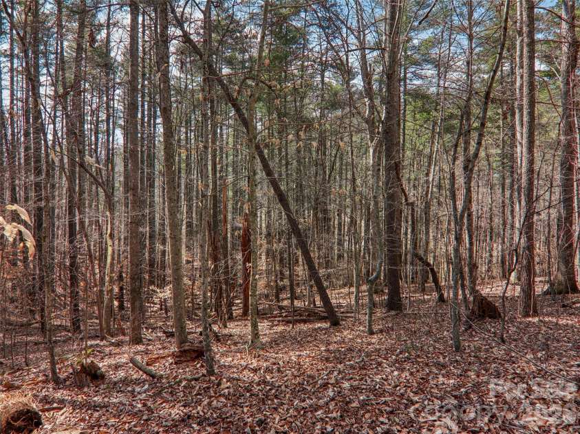 74 Woodson Drive, Mars Hill, NC 28754.  MLS# CAR4355311, YatesRealty ID 12666. Wooded 1.88 acres 