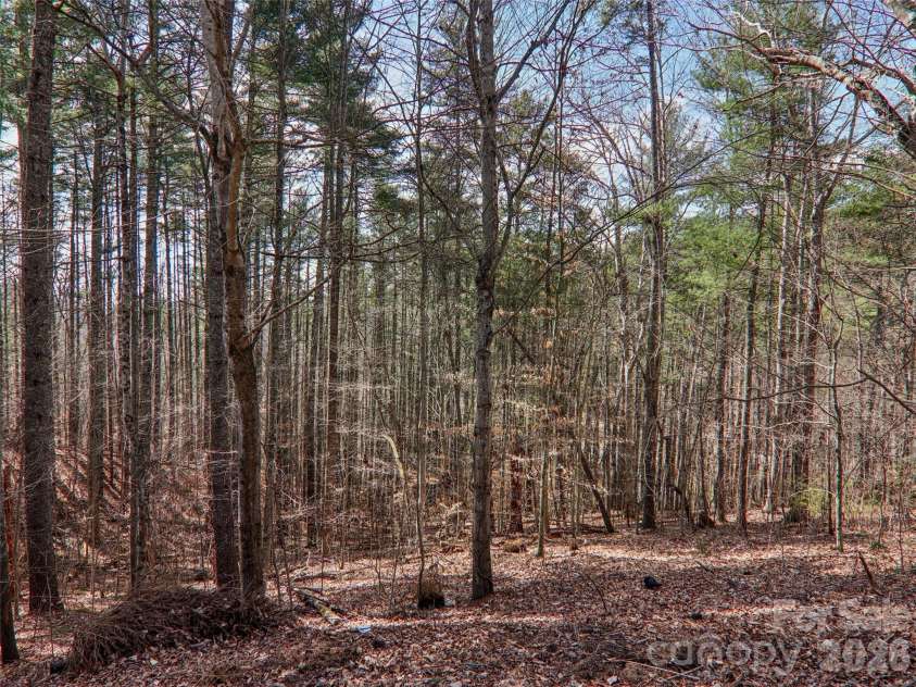 74 Woodson Drive, Mars Hill, NC 28754.  MLS# CAR4355311, YatesRealty ID 12666. Wooded 1.88 acres