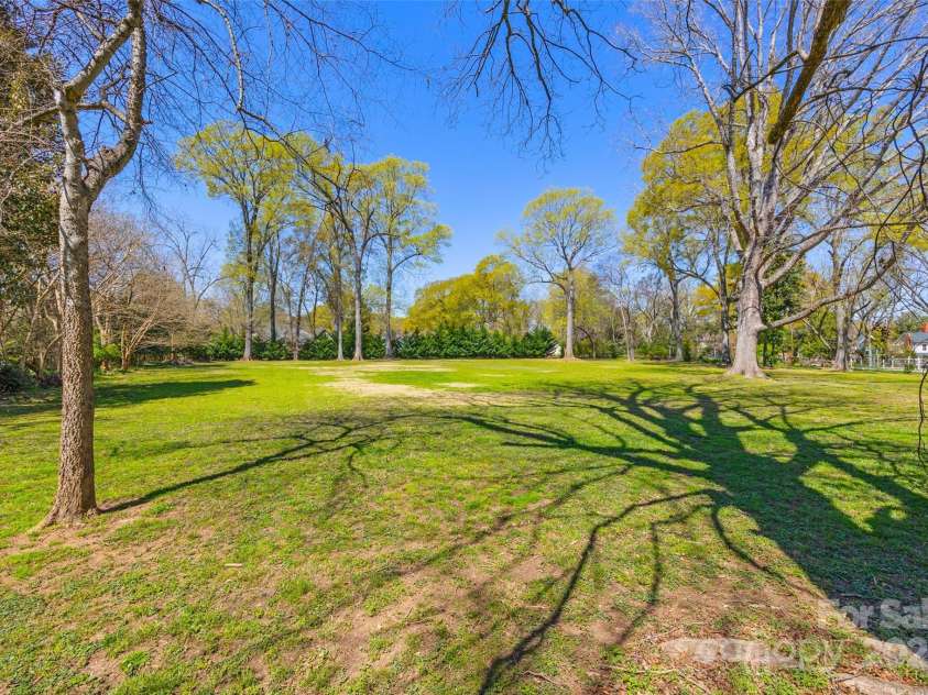 121 Congress Street, York, SC 29745.  MLS# CAR4235428, YatesRealty ID 12723. Expansive, sun-drenched backyard framed by mature trees and lush greenery—perfect for outdoor entertaining, gardening, or future additions. A peaceful, private setting with plenty of open space to bring your vision to life.