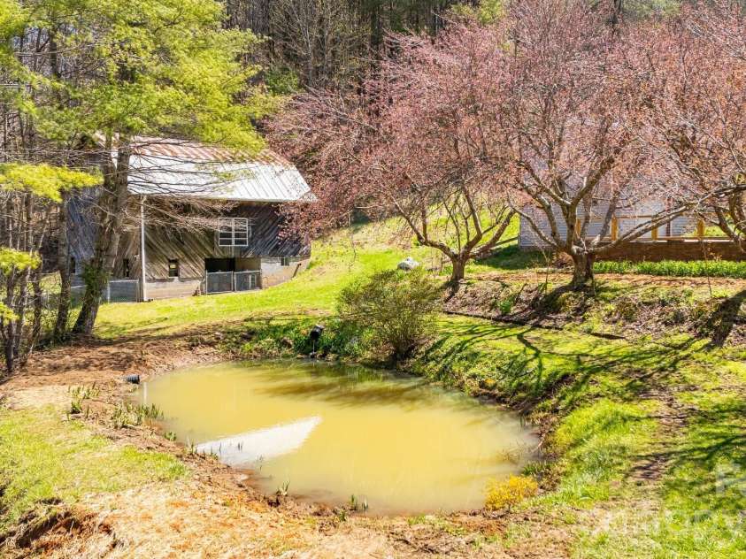 6334 Jacks Creek Road, Burnsville, NC 28714.  MLS# CAR4365892, YatesRealty ID 12745. Spring fed pond surrounded by cherry trees.