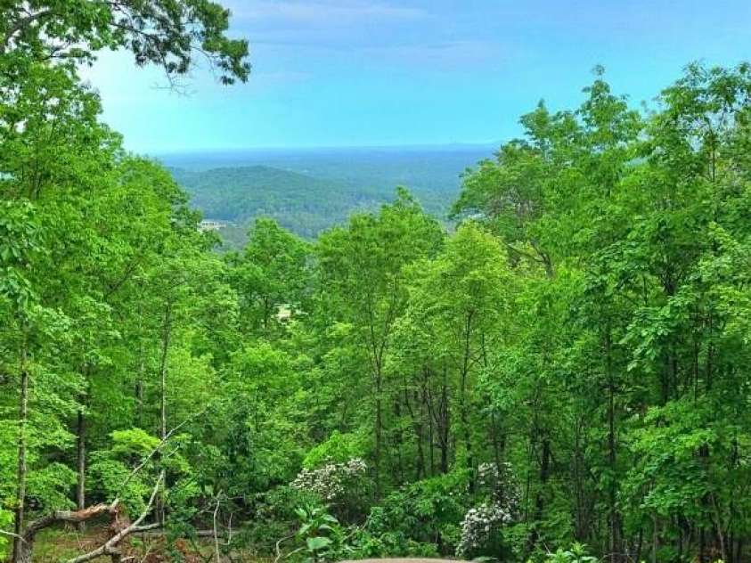 153 Chetan Way, Lake Lure, NC 28746.  MLS# CAR4371319, YatesRealty ID 12804. 