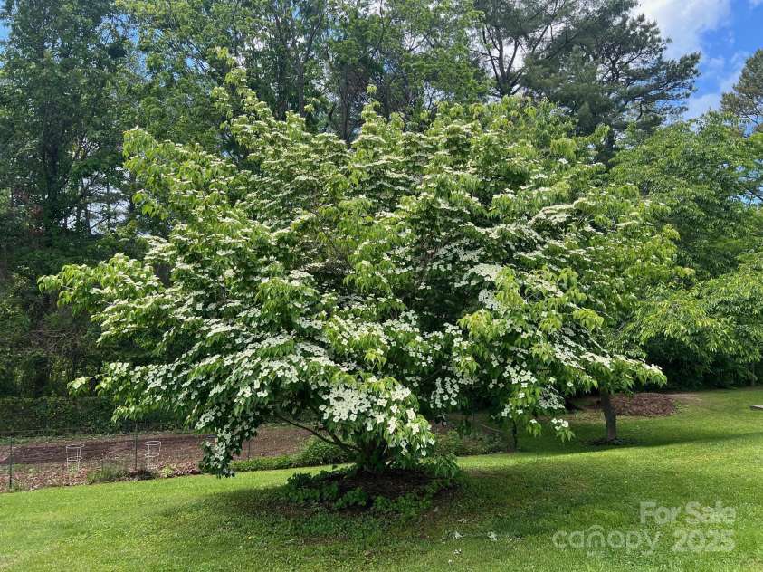 101 Bent Creek Ranch Road, Asheville, NC 28806.  MLS# CAR4253035, YatesRealty ID 12867. Bent Creek Community Park