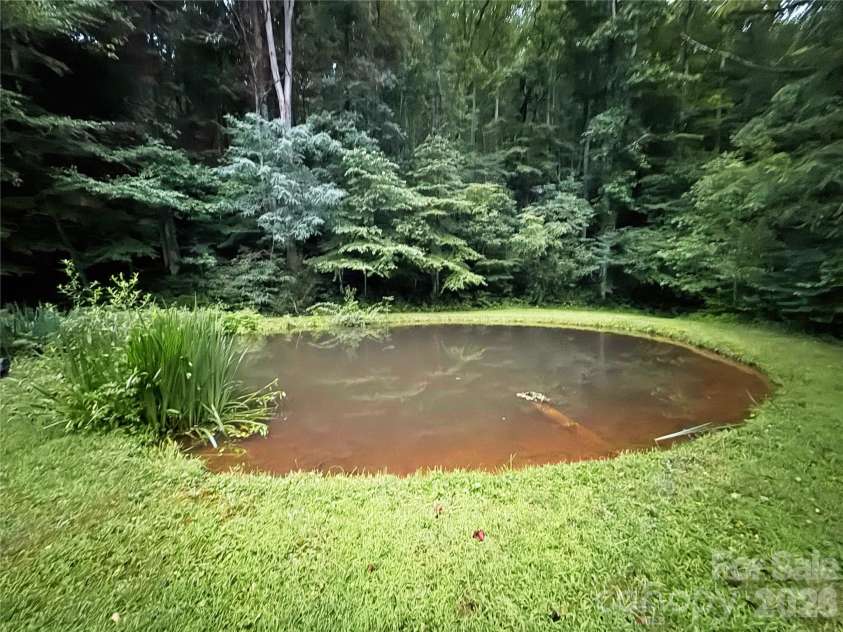 226 Wildcat Mountain Trail, Sylva, NC 28779.  MLS# CAR4284312, YatesRealty ID 12873. Spring fed pond stocked with fish