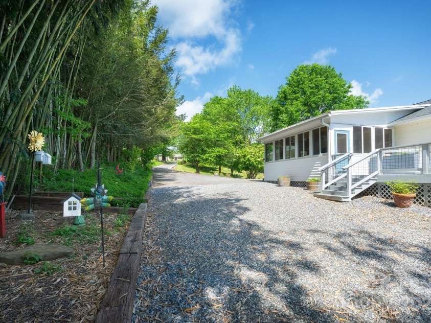 1572 Alexander Road, Leicester, NC 28748.  MLS# CAR4252081, YatesRealty ID 12882. Bamboo Screening. Shelter to many migrating birds