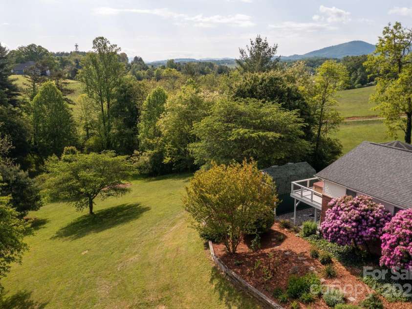 1572 Alexander Road, Leicester, NC 28748.  MLS# CAR4252081, YatesRealty ID 12882. Mature Trees