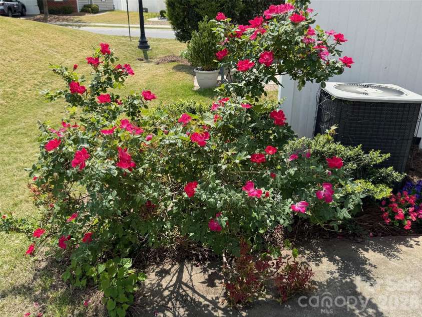 10947 Coyote Lane, Charlotte, NC 28277.  MLS# CAR4365778, YatesRealty ID 12901. Rear Yard
