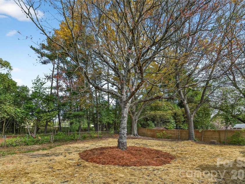 1521 Starbrook Drive, Charlotte, NC 28210.  MLS# CAR4366236, YatesRealty ID 12903. 