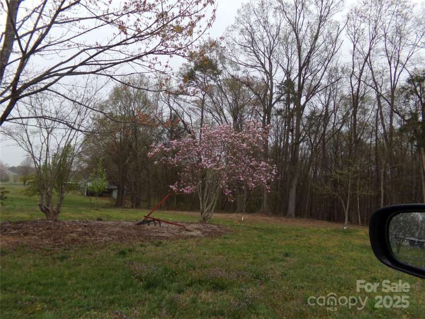 7218 Alexander Farm Road, Monroe, NC 28110.  MLS# CAR4238823, YatesRealty ID 12919. Flowering tree at entrance