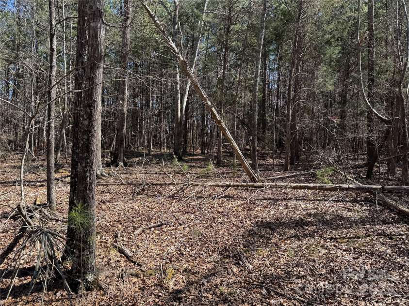 1905-A Bechtler Road, Edgemoor, SC 29712.  MLS# CAR4252014, YatesRealty ID 12925. Present view of home site from pond
