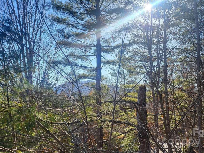 31 Cedarwood Lane, Asheville, NC 28803.  MLS# CAR4126621, YatesRealty ID 12943. Winter Mountain Views