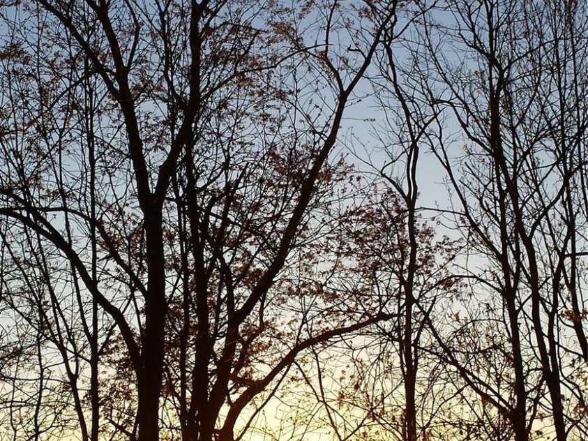 23 Hollybrook Drive, Asheville, NC 28803.  MLS# CAR4253412, YatesRealty ID 12962. 