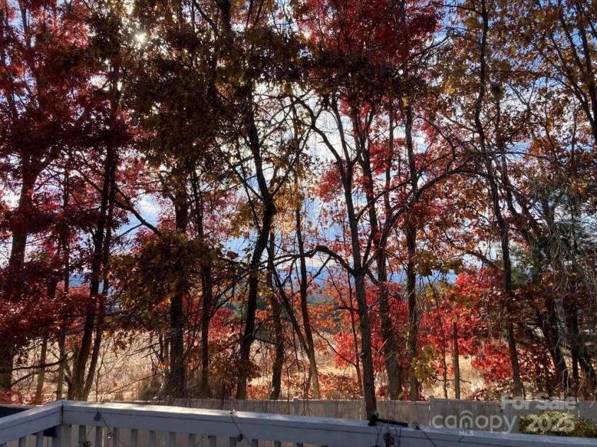 23 Hollybrook Drive, Asheville, NC 28803.  MLS# CAR4253412, YatesRealty ID 12962. Autumn view