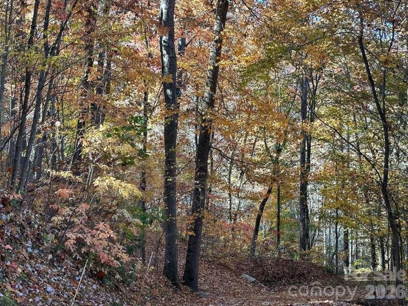 126 Mossycup Court, Tuckasegee, NC 28783.  MLS# CAR4324867, YatesRealty ID 12970. 