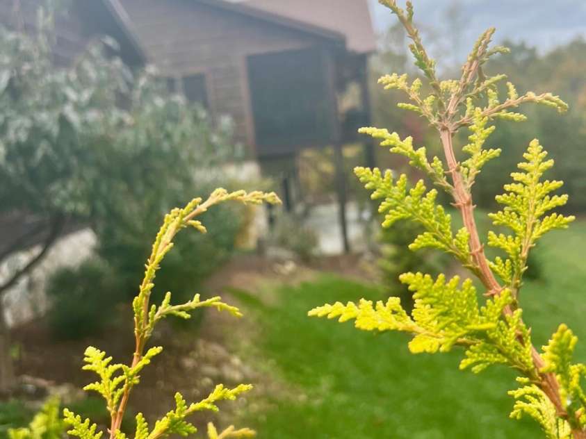 80 Grandview Loop, Nebo, NC 28761.  MLS# CAR4317495, YatesRealty ID 1300. Fall view looking at the home from the driveway.