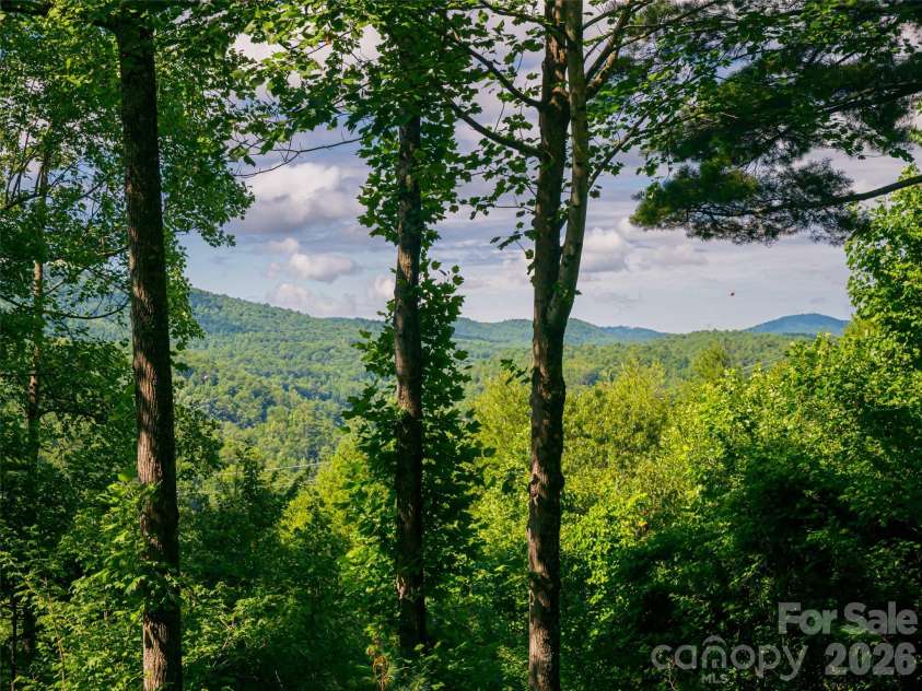 935 Whites Lake Boulevard, Saluda, NC 28773.  MLS# CAR4363522, YatesRealty ID 13007. 