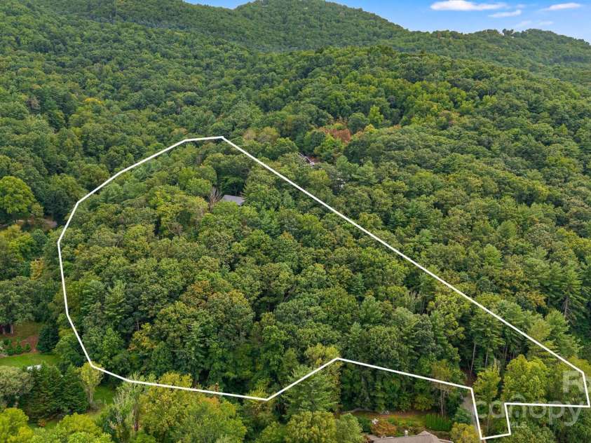 47 Webb Cove Road, Asheville, NC 28804.  MLS# CAR4234951, YatesRealty ID 13033. Outline of the 6+ acres of land surrounding the home