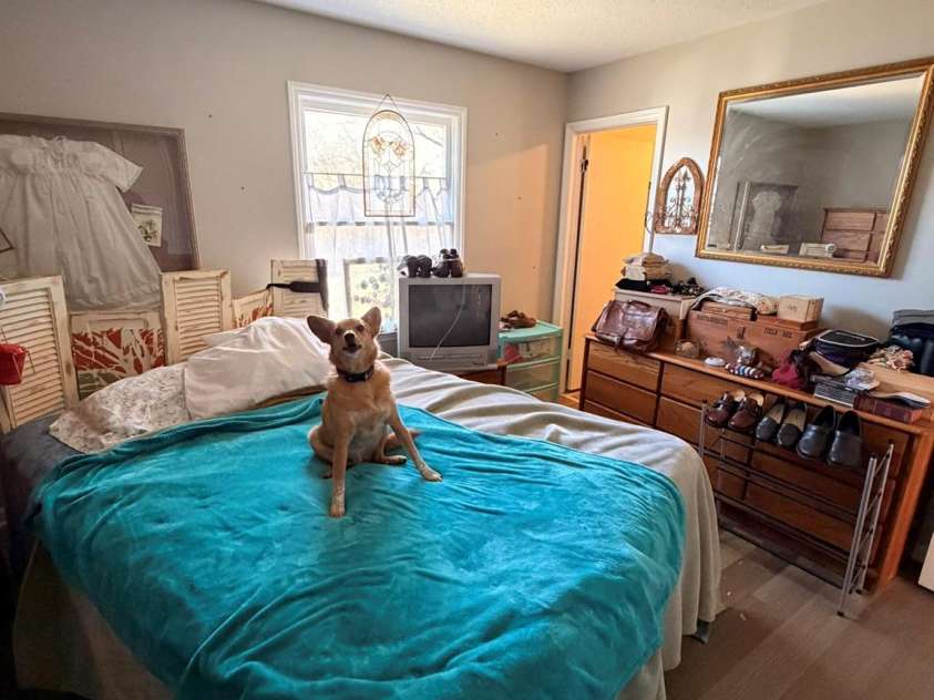 284 Jennings Road, North Wilkesboro, NC 28659.  MLS# CAR4322672, YatesRealty ID 1305. 