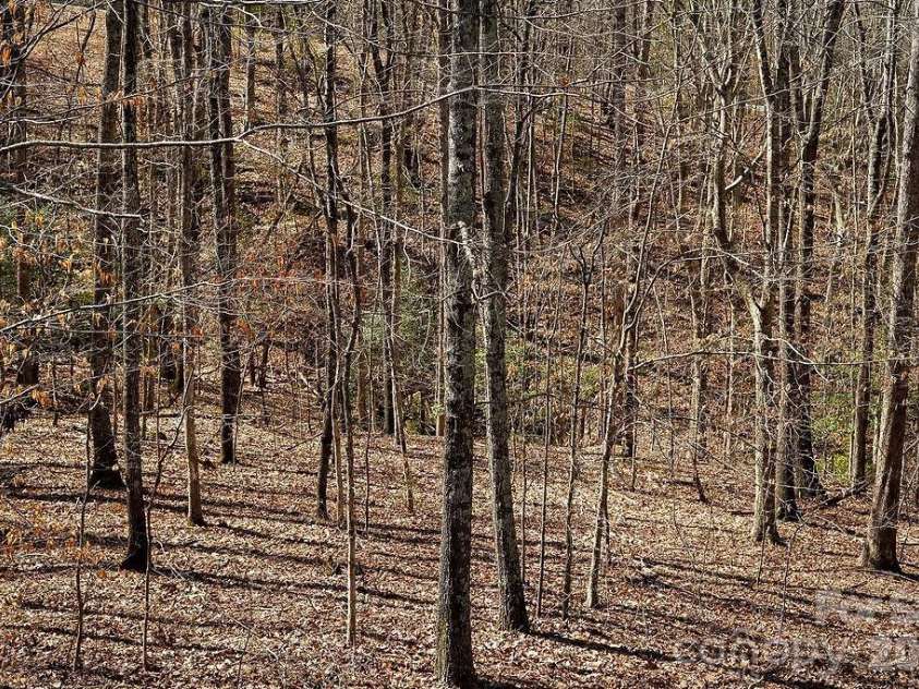 7972 Summit Ridge Drive, Catawba, NC 28609.  MLS# CAR4326299, YatesRealty ID 13082. 