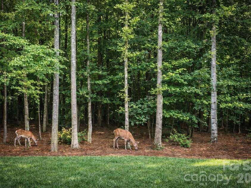 14850 Belleglade Trail, Mint Hill, NC 28227.  MLS# CAR4367749, YatesRealty ID 13092. 
