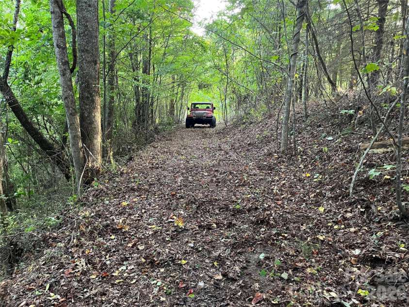 1961 Cane Creek Road, Fletcher, NC 28732.  MLS# CAR4233282, YatesRealty ID 131. Second homesite