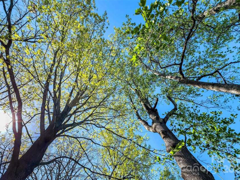 36 & 50 Catawba Avenue, Marion, NC 28752.  MLS# CAR4254471, YatesRealty ID 13108. 