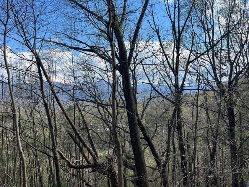 150 Combo Court, Waynesville, NC 28786.  MLS# CAR4365991, YatesRealty ID 13123. 