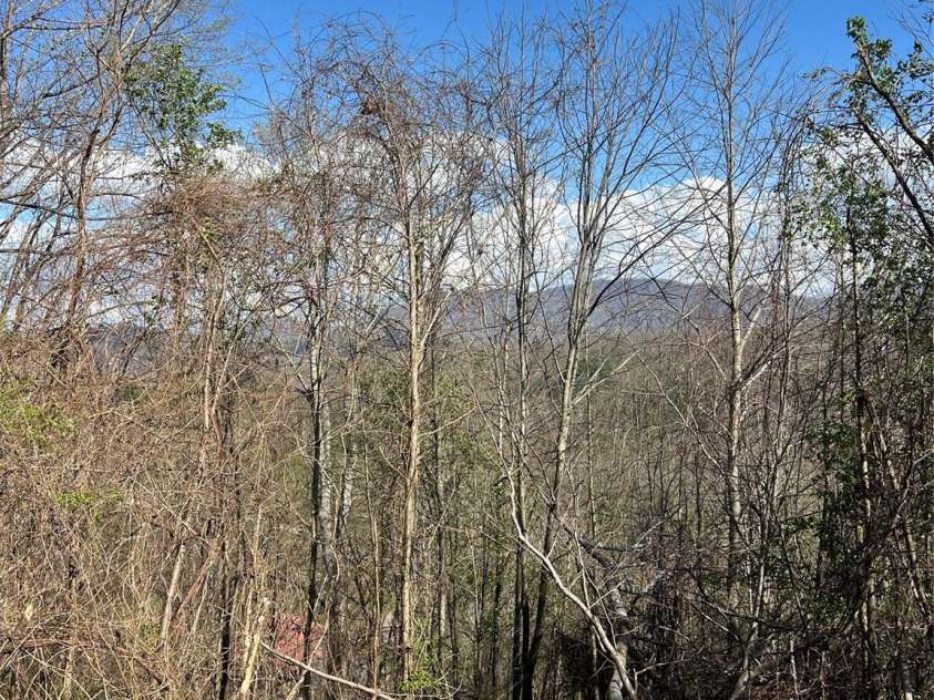 150 Combo Court, Waynesville, NC 28786.  MLS# CAR4365991, YatesRealty ID 13123. 
