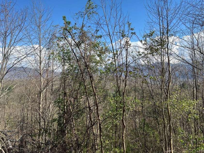 150 Combo Court, Waynesville, NC 28786.  MLS# CAR4365991, YatesRealty ID 13123. 