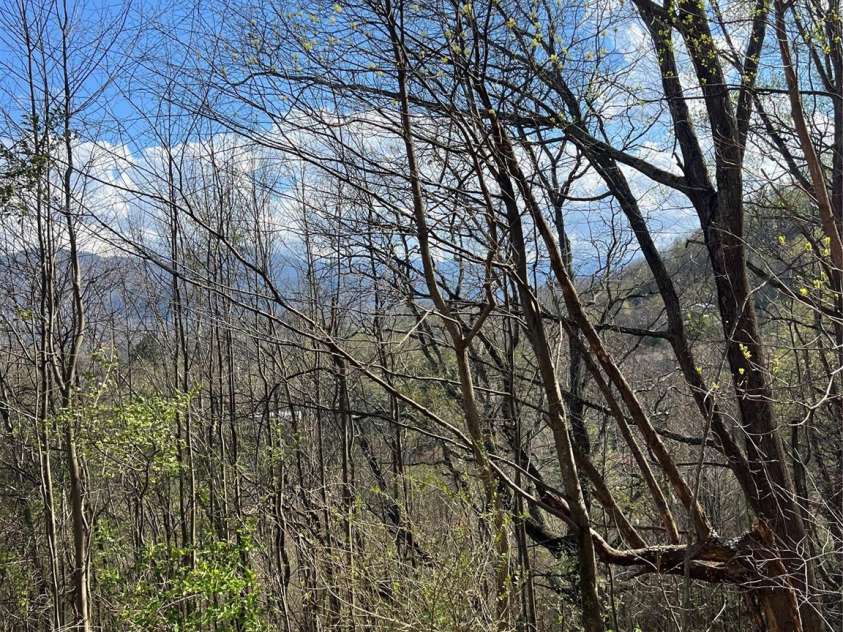 150 Combo Court, Waynesville, NC 28786.  MLS# CAR4365991, YatesRealty ID 13123. 