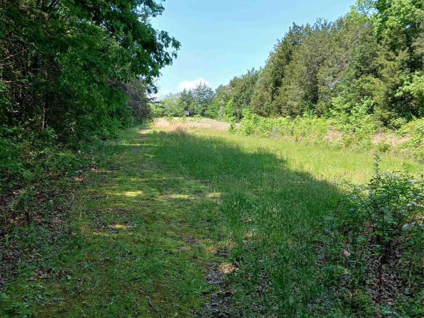 4194 Buffalo Shoals Road, Maiden, NC 28650.  MLS# CAR4251995, YatesRealty ID 13136. 