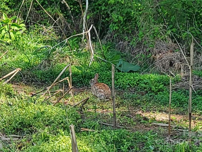 6454 Sain Milling Road, Vale, NC 28168.  MLS# CAR4250673, YatesRealty ID 13150. 