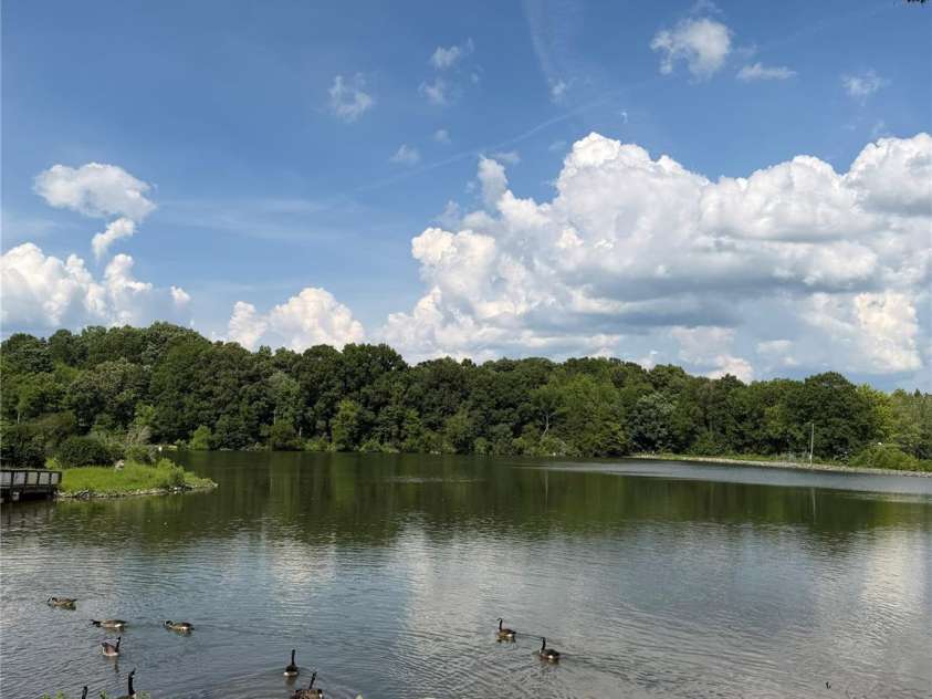 5839 Harris Grove Lane, Charlotte, NC 28212.  MLS# CAR4406071, YatesRealty ID 1320. 