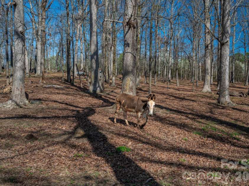 221 Lee Black Road, Cherryville, NC 28021.  MLS# CAR4350186, YatesRealty ID 13200. 