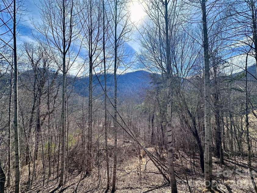 40 Shook Cove Road, Leicester, NC 28748.  MLS# CAR4339815, YatesRealty ID 13201. 