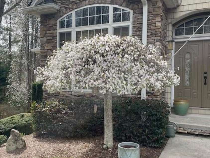 21 Kanuga Forest Drive, Hendersonville, NC 28739.  MLS# CAR4350082, YatesRealty ID 13208. 