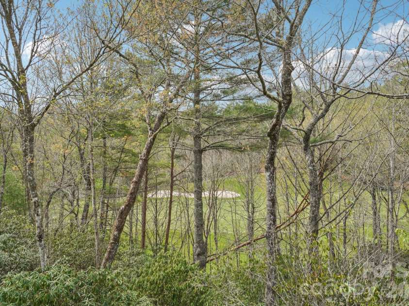 304 Pine Forest Trace, Hendersonville, NC 28739.  MLS# CAR4356124, YatesRealty ID 13241. 