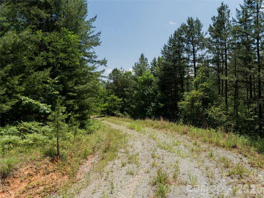 1000 Sutton Creek Road, Pisgah Forest, NC 28768.  MLS# CAR4266432, YatesRealty ID 1327. 