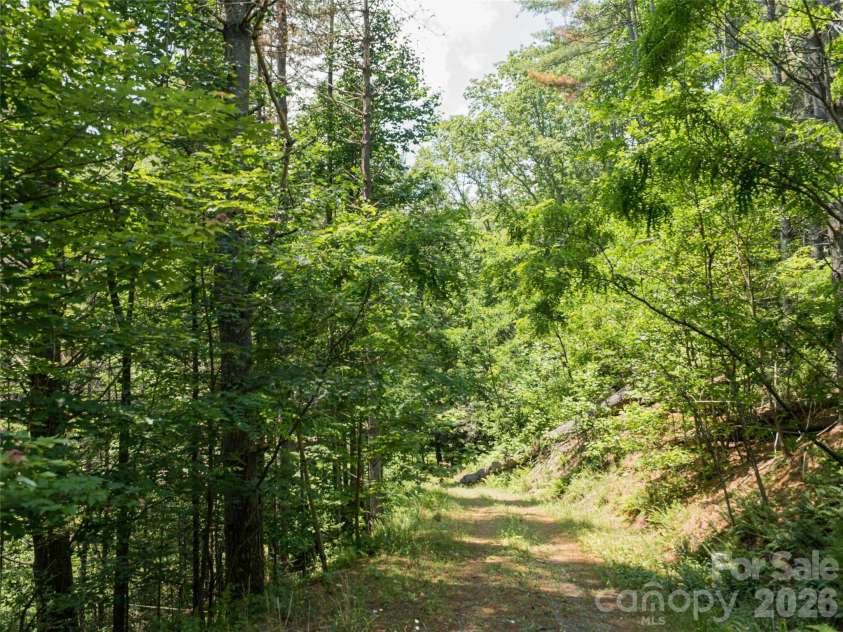 1000 Sutton Creek Road, Pisgah Forest, NC 28768.  MLS# CAR4266432, YatesRealty ID 1327. 