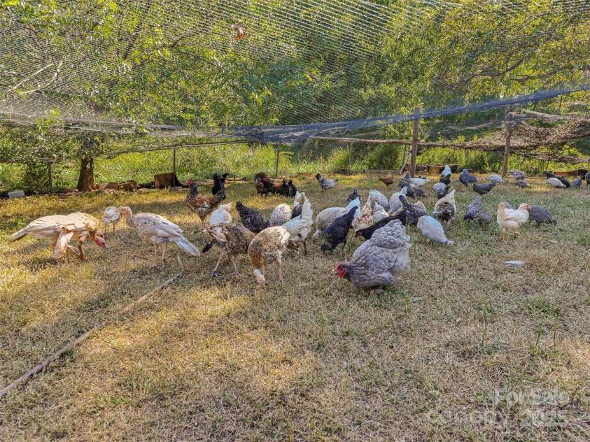 250 Circus Trail, Forest City, NC 28043.  MLS# CAR4300155, YatesRealty ID 1327. 